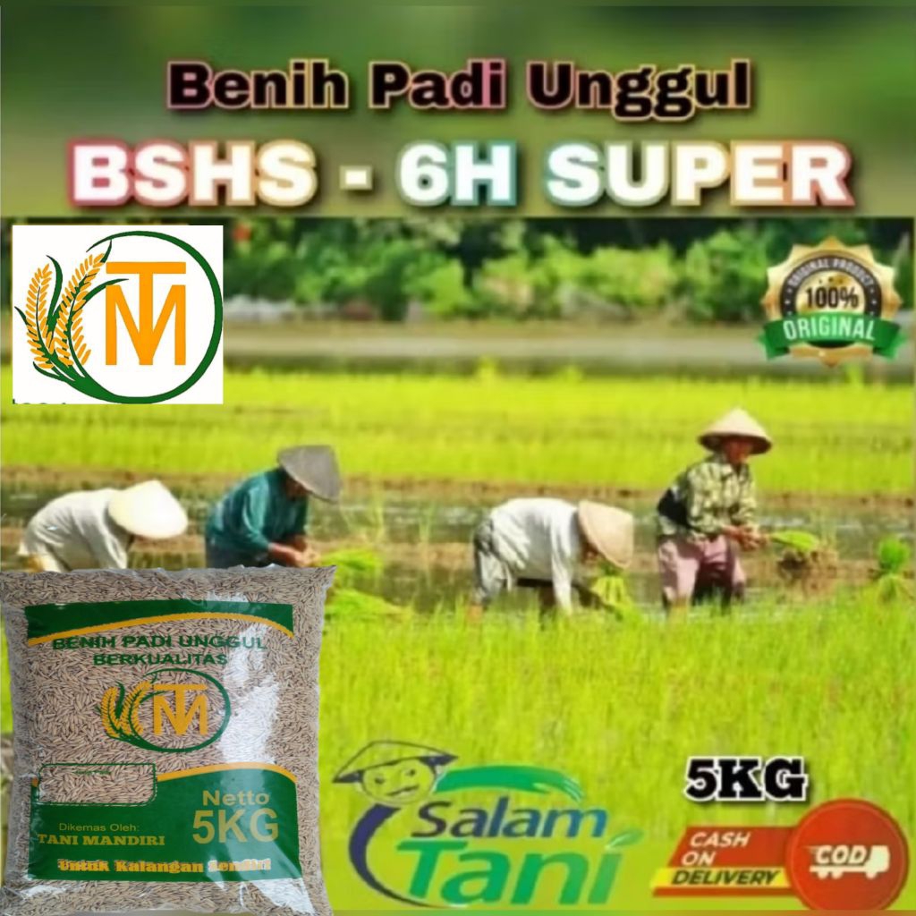 BENIH PADI BSHS 6H SUPER KEMASAN 5KG