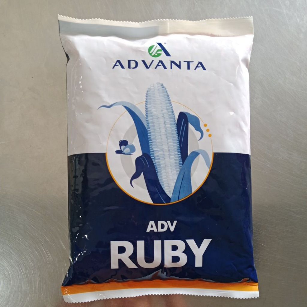 Benih Jagung ADVANTA RUBY 1kg