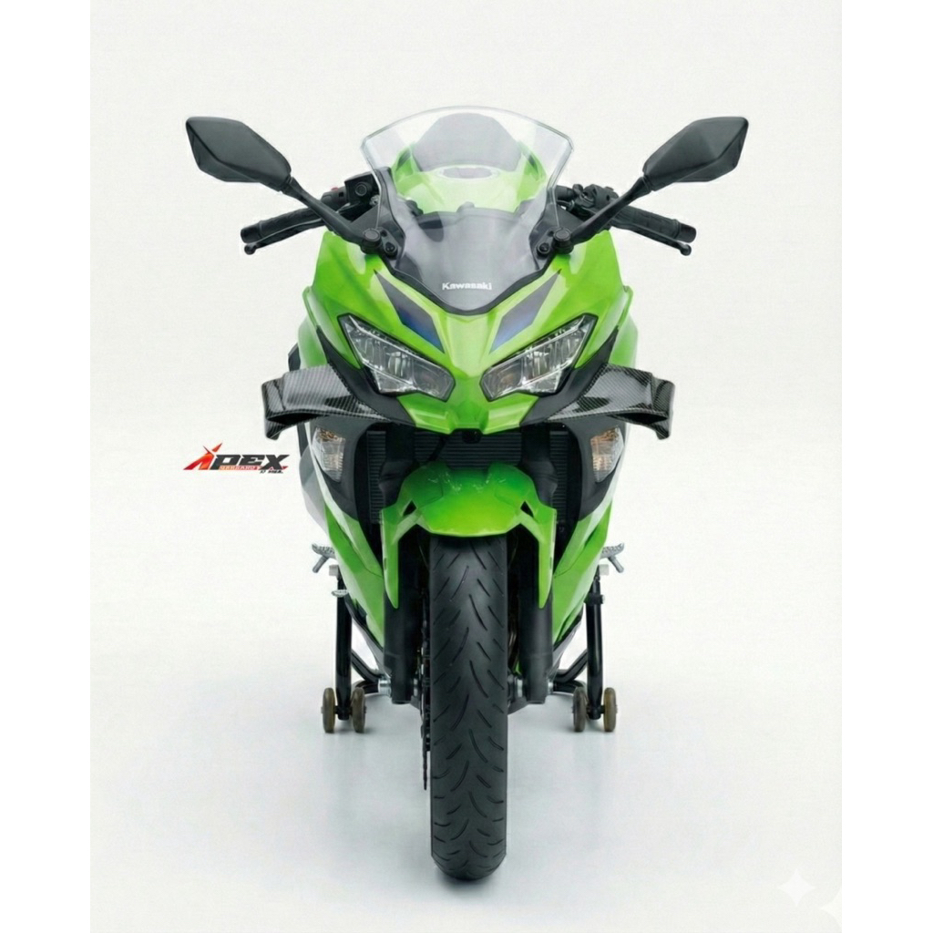 Aero Winglet Carbon Kawasaki Ninja 250FI New
