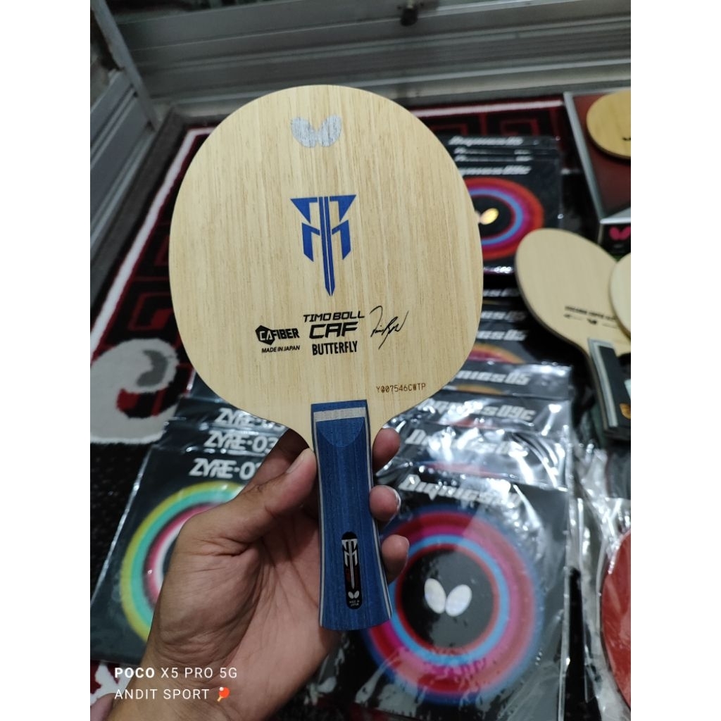 Timo Boll CAF