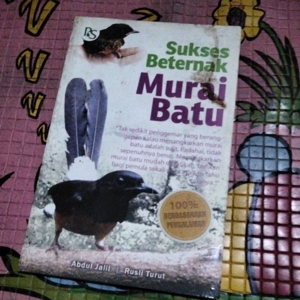 SUKSES BETERNAK MURAI BATU