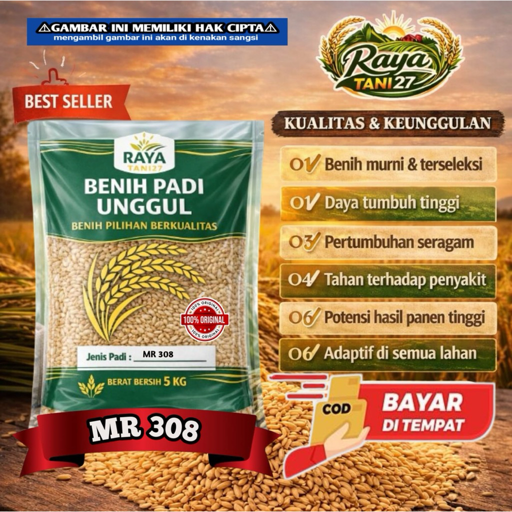 Benih padi MR 308 asli 5kg bibit padi berkualitas