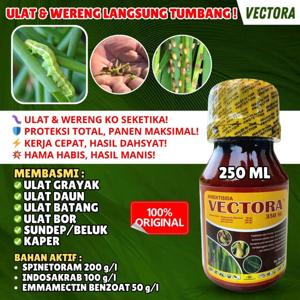 INSEKTISIDA VECTORA 350 SC 250 ML INSEKTISIDA SISTEMIK INSEKTISIDA KONTAK PALING AMPUH BASMI HAMA BA