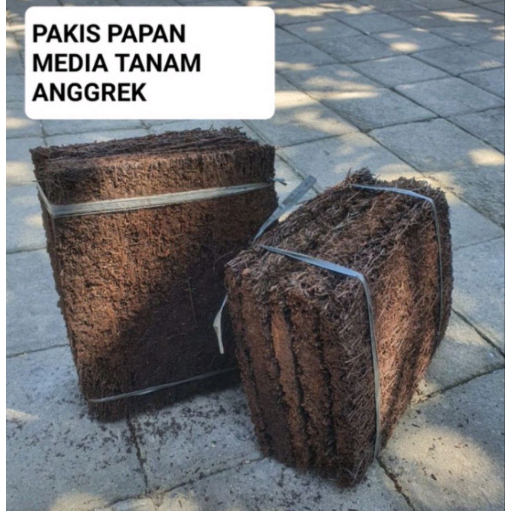 Pakis Tempel Bunga Anggrek - Media Tanam Papan Pakis Lempeng - Media Tanam Pakis Papan Media Anggrek