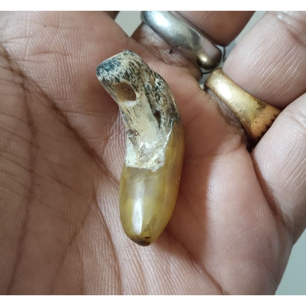 Liontin kuku pnyu blum di ring tapi ada lubangnya