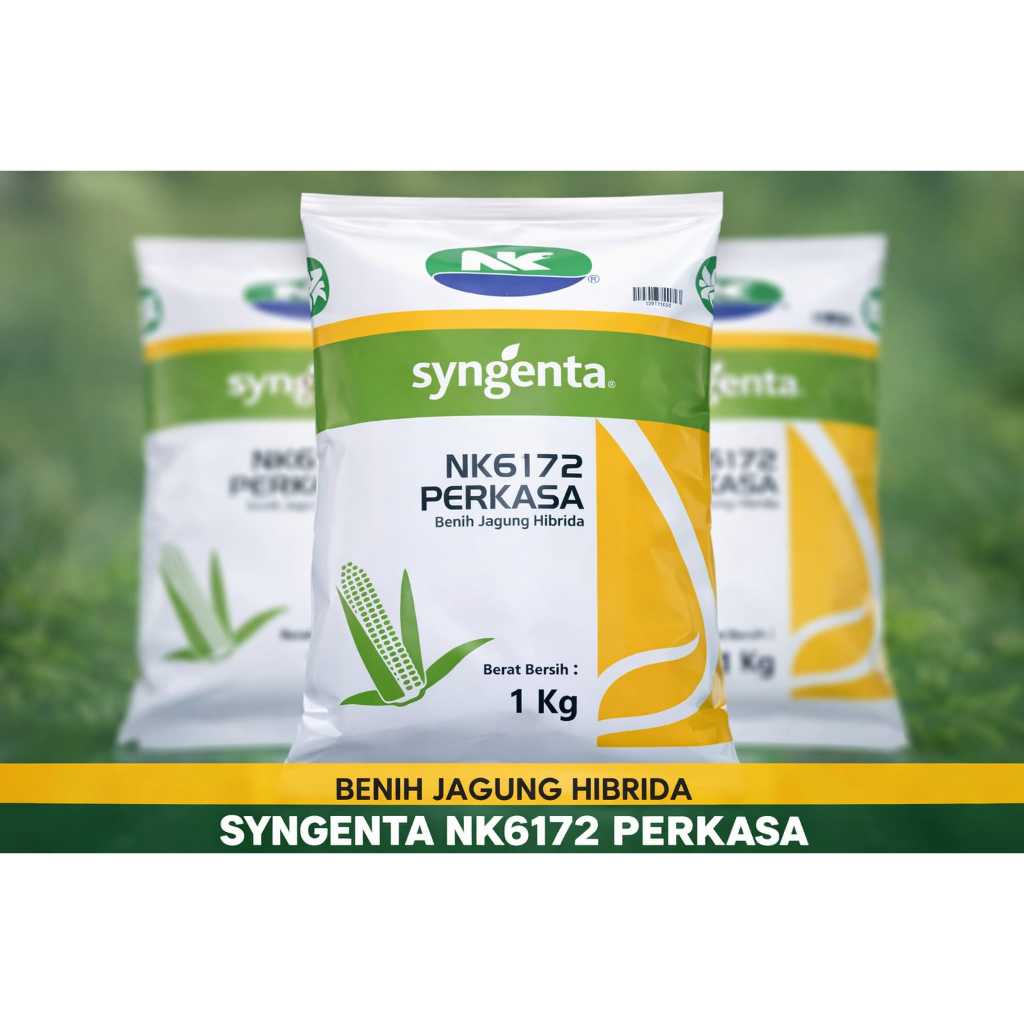 BENIH-JAGUNG-HIBRIDA-PERKASA-6172-BIBIT-JAGUNG-SUPER-UNGGUL-PETANI-INDONESIA