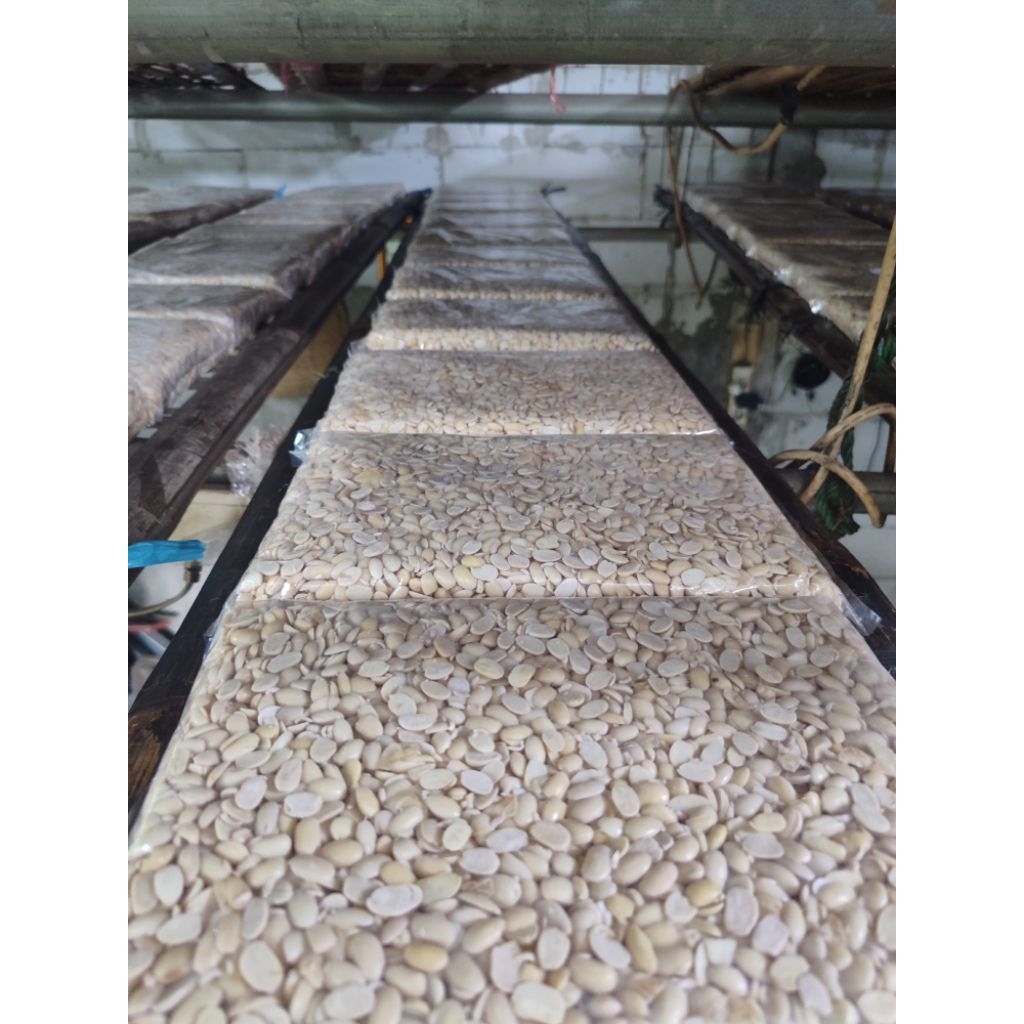 Tempe Mentah | Tempe Super Raos | 1.000g