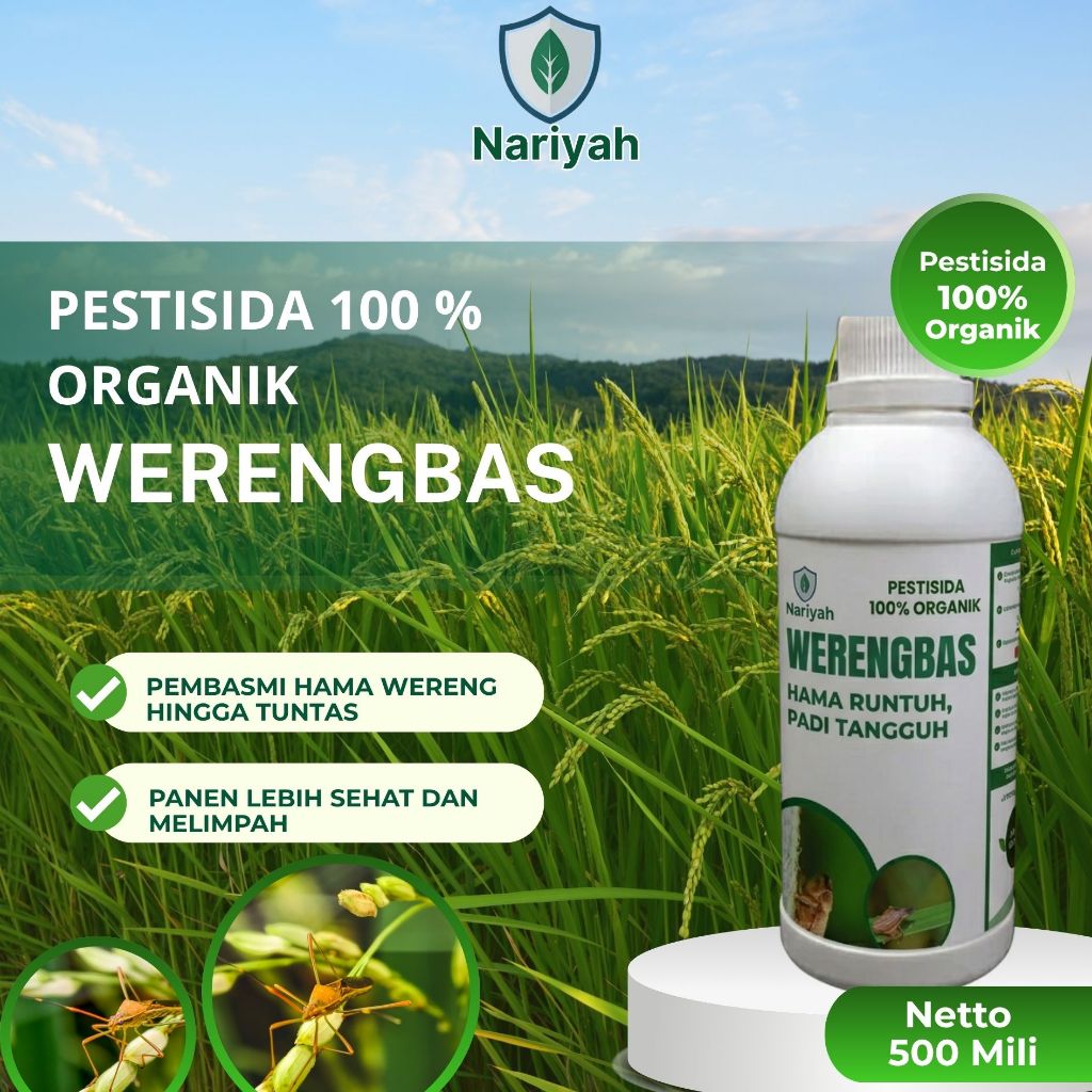 Obat Wereng Coklat Padi Ampuh 500ml – Werengbas Pestisida Nabati Anti Hama Wereng Tuntas