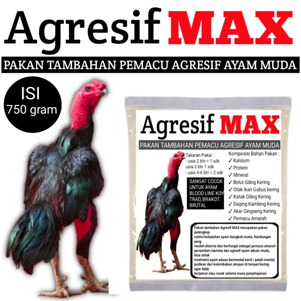 agresif max pakan ayam bangkok pemacu amarah brakot pakhoy brutal koytrad koyngon ketip bulu pakhoy 