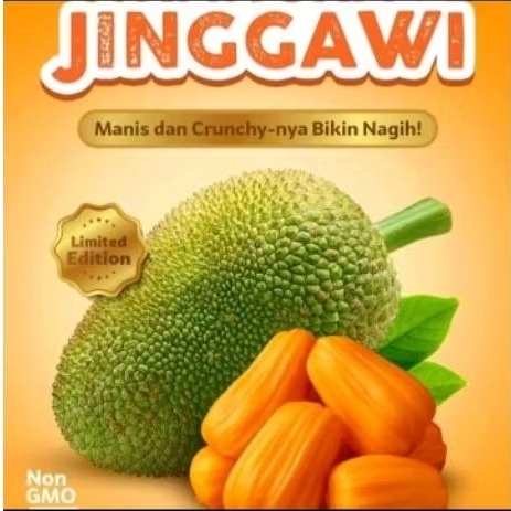 BUAH NANGKA JINGGAWI UTUH