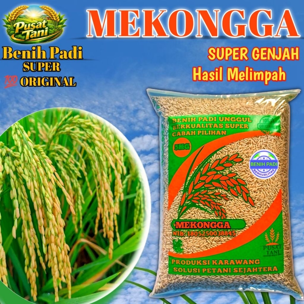 Benih Padi Unggul Mekongga Genjah Kemasan 5kg