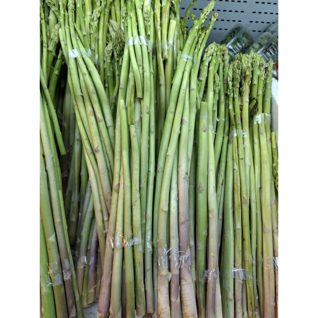 Asparagus Segar / pack