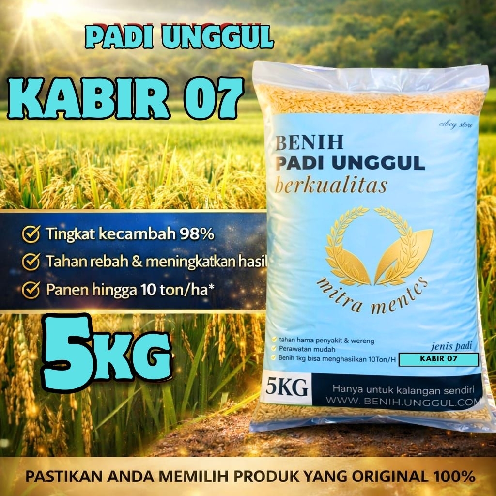 benih Padi Unggul Kabir 07 5Kg Premium Padi Unggul Kabir 07 5 Kg Berkualitas Super