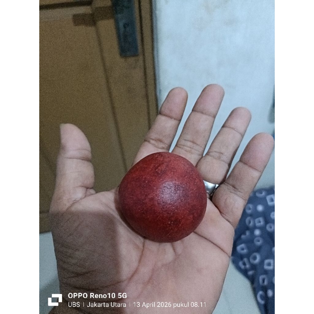 Batu geliga landak merah asli alami