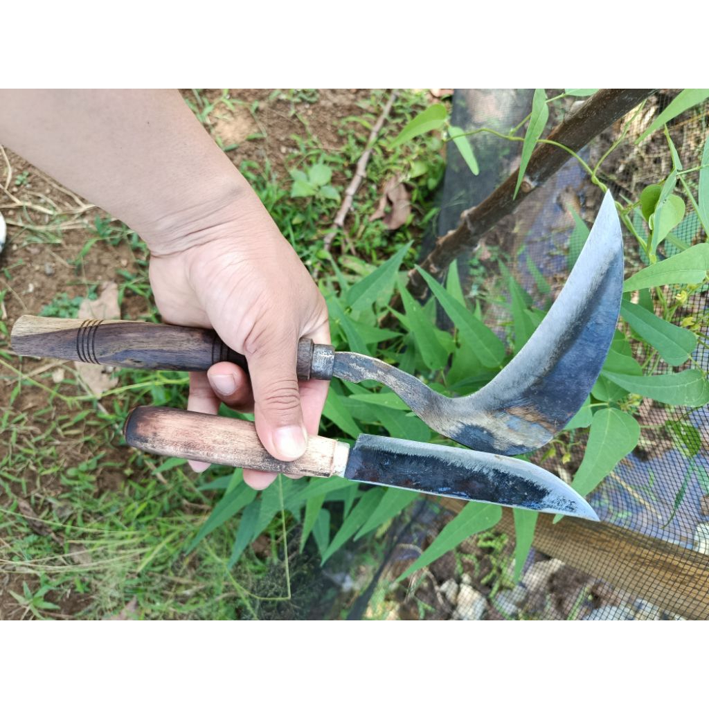 Sabit padi tanpa asah gratis pisau