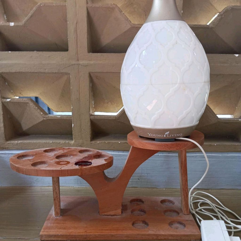 diffuser tawon/lebah tanpa kardus polosan bekas