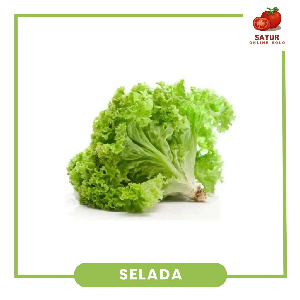 Selada Segar - Sayur Online Solo