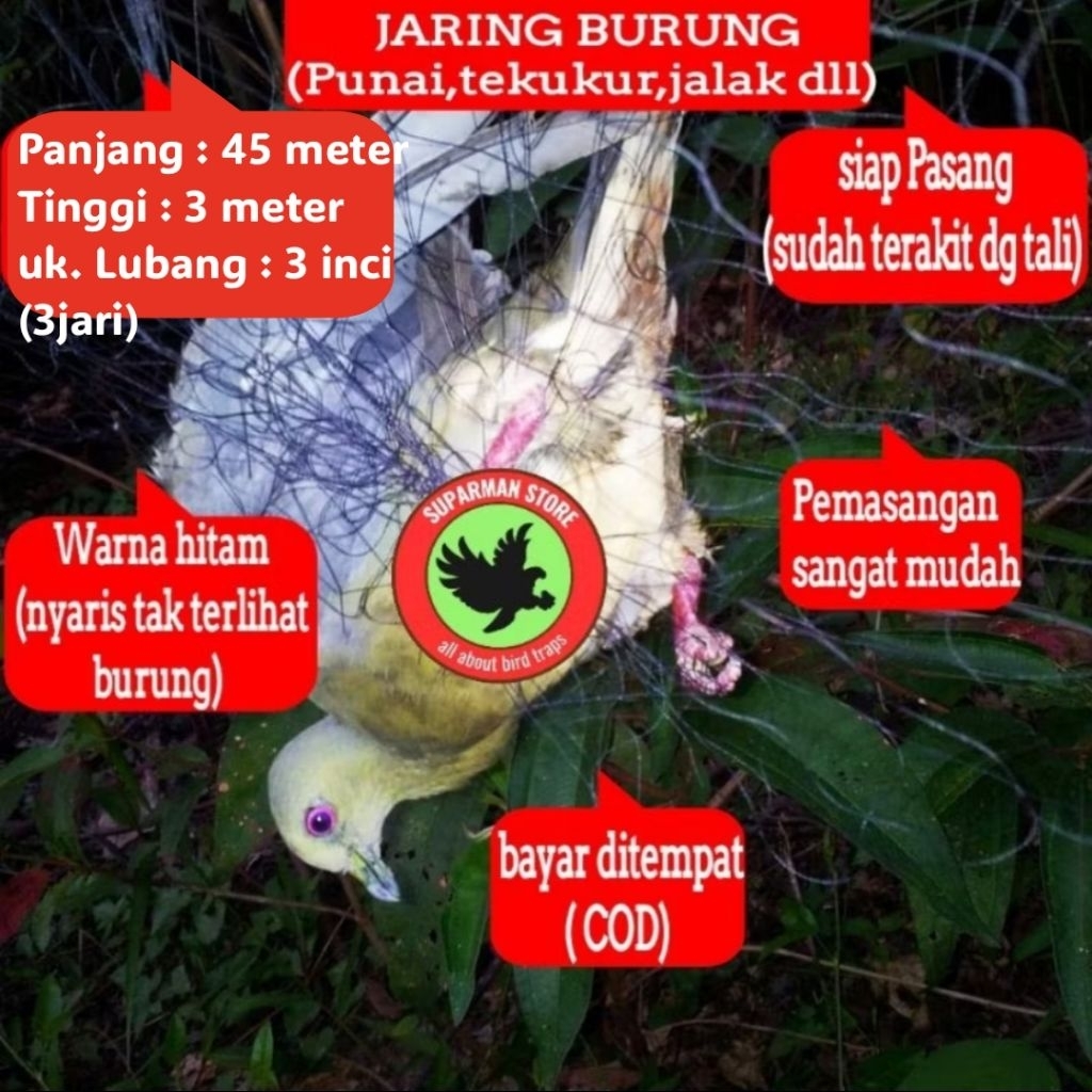 JARING BURUNG PUNAI p.45 JARING PUNAI JEBAKAN BURUNG PUNAI PIKAT PUNAI JALA PUNAI JARING JALA BURUNG