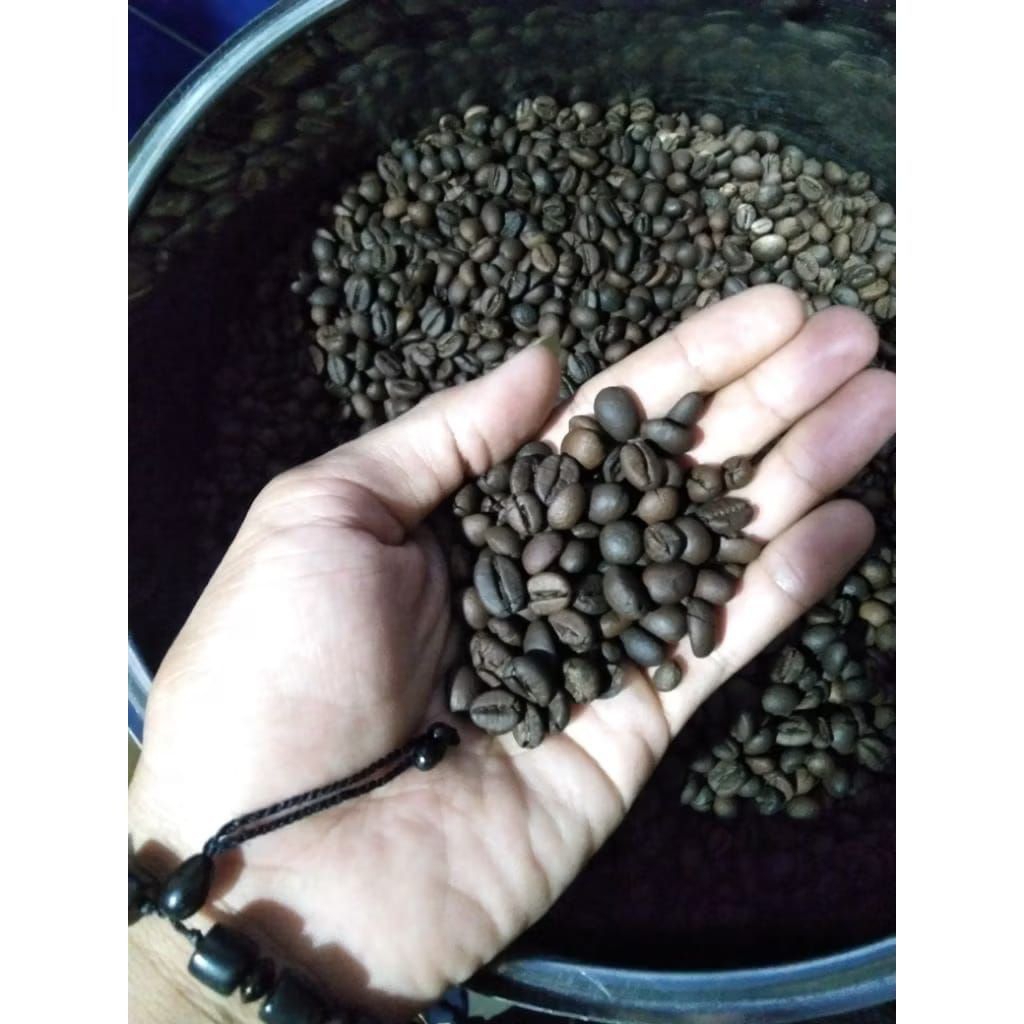 Roast Bean Biji kopi Robusta premium | matang sangrai Medium To Dark 500g