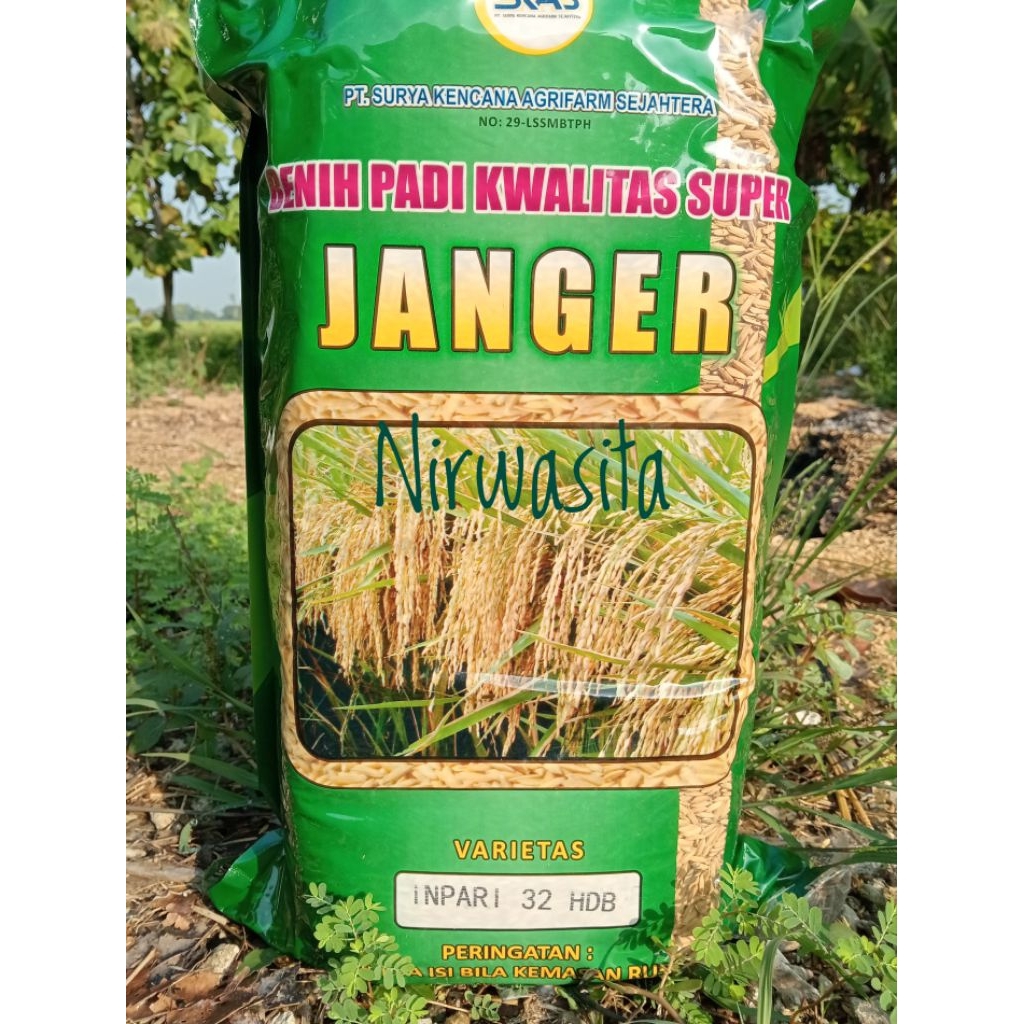 Benih Padi Inpari 32 Janger kemasan 5kg Inpari 32 Premium Janger
