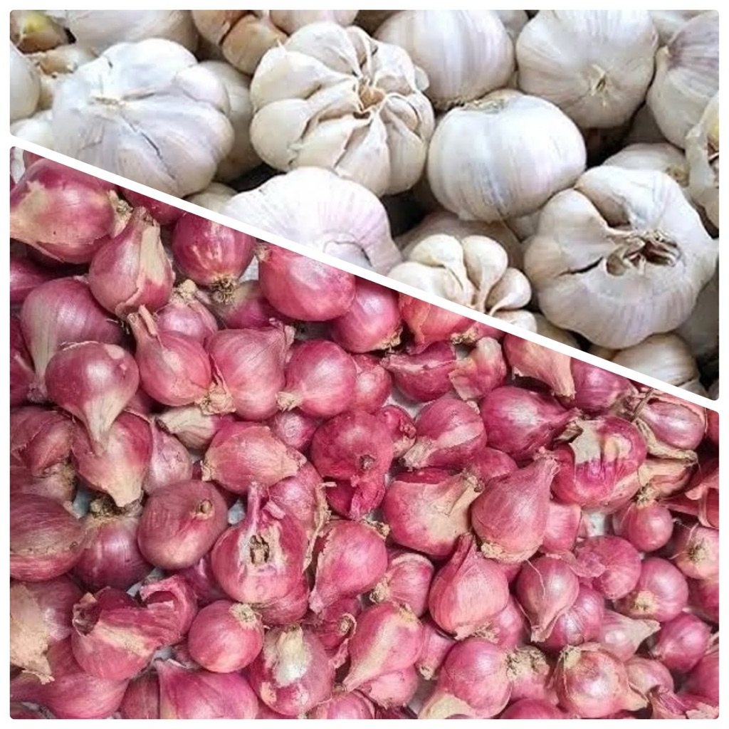 bawang merah dan bawang putih