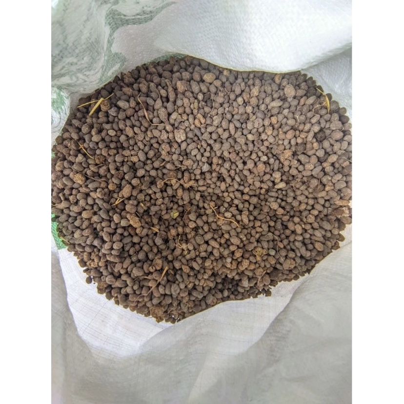 Kohe Kambing 10kg – Pupuk Kandang Kemasan Karung