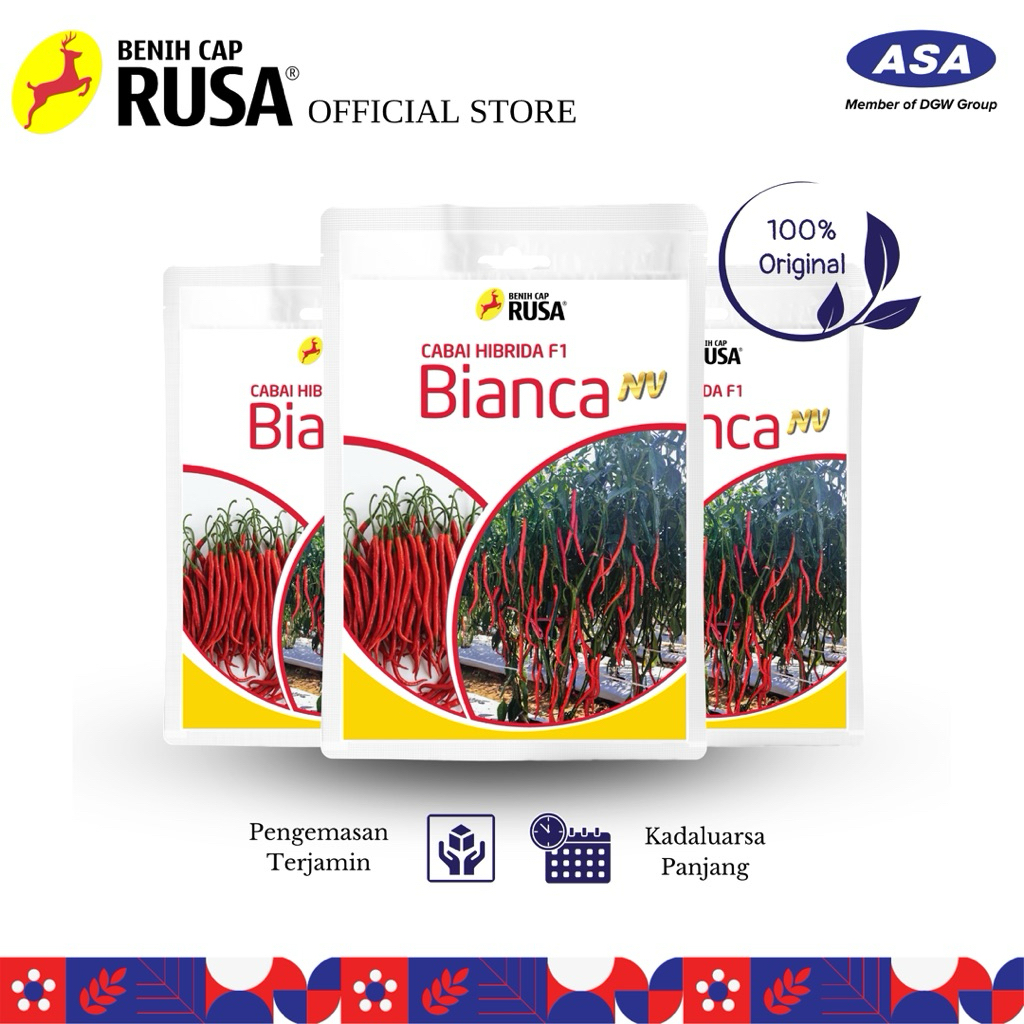 Benih ASA - 2100 BENIH BIBIT BIJI CABAI KERITING BIANCA NV F1 - Kemasan 10  Gr| Sahabat Rusa - Benih