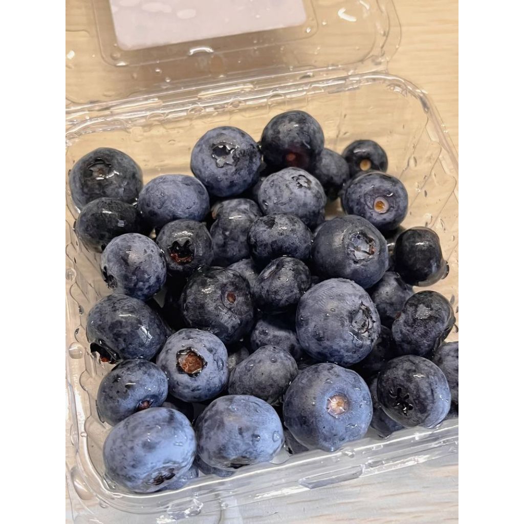 buah blueberry  fresh 1pack