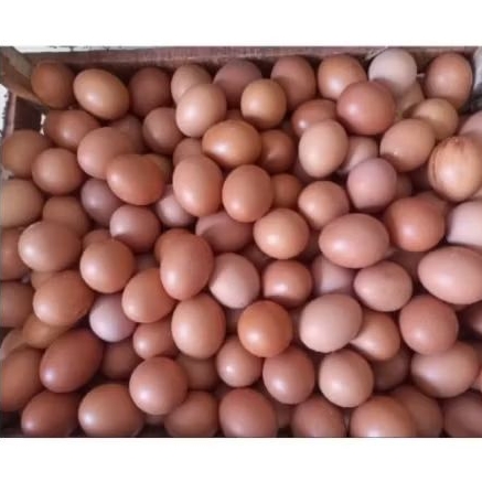 Telur Ayam 1kg