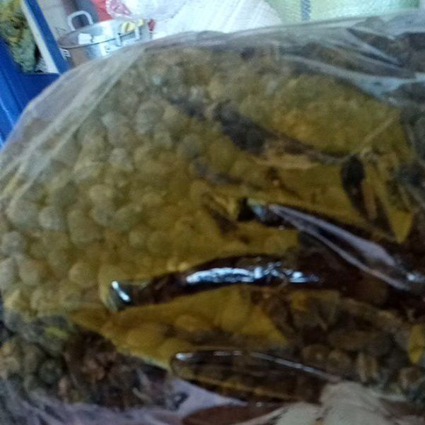Kohe Kambing - Taik Kambing Bulat Pupuk