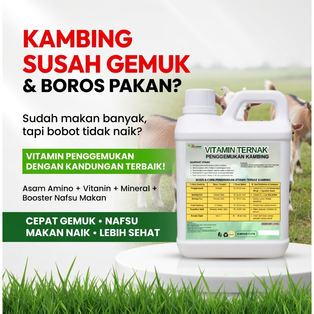 Vitamin Kambing Cepat Gemuk Obat Penggemukan Kambing  Nafsu Makan Tinggi Cepat Besar Sehat