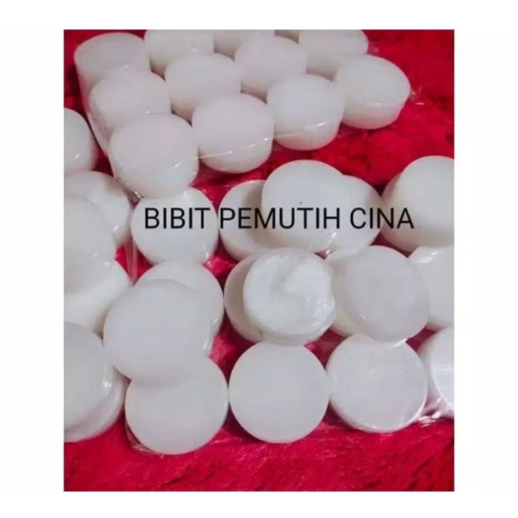 bibit pemutih cina