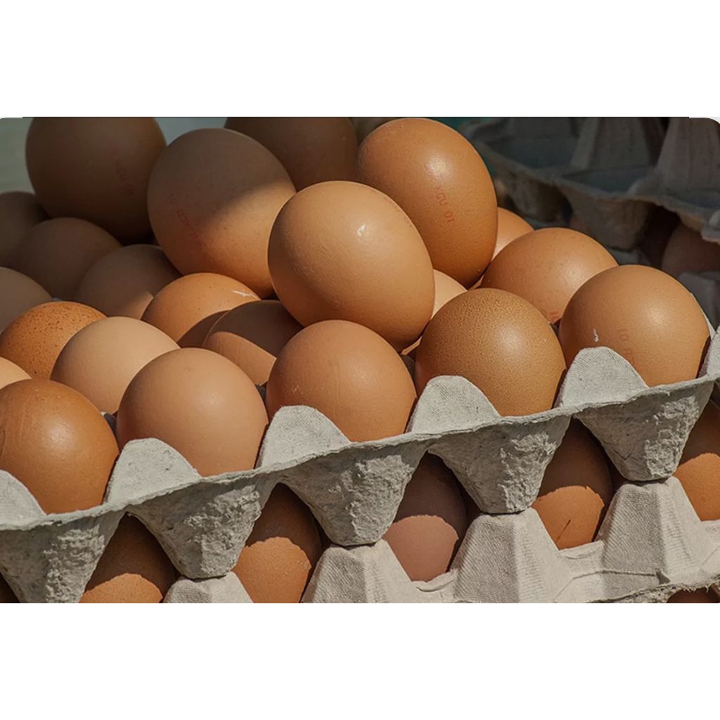Telur ayam bandung fresh BDG