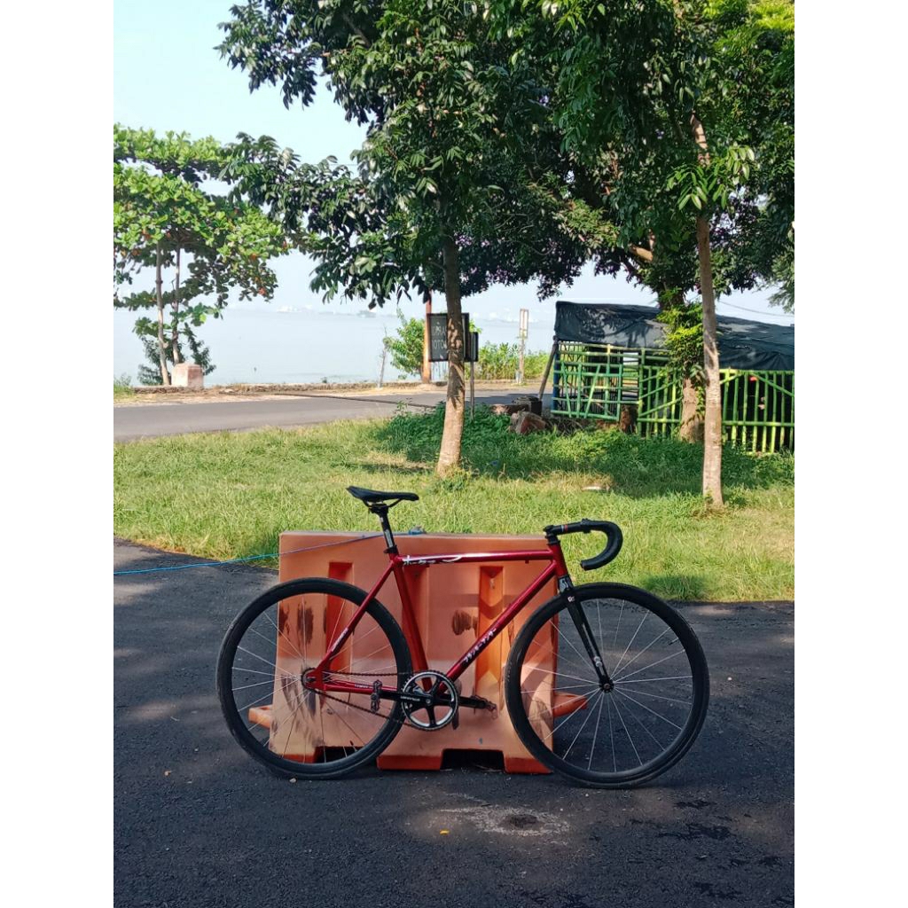 Fullbike fixie soloist 71