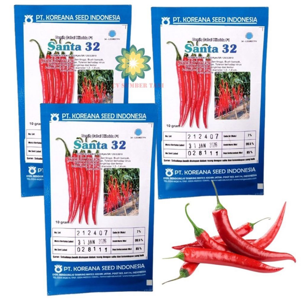 BENIH CABE SANTA 32 F1 10 GRAM