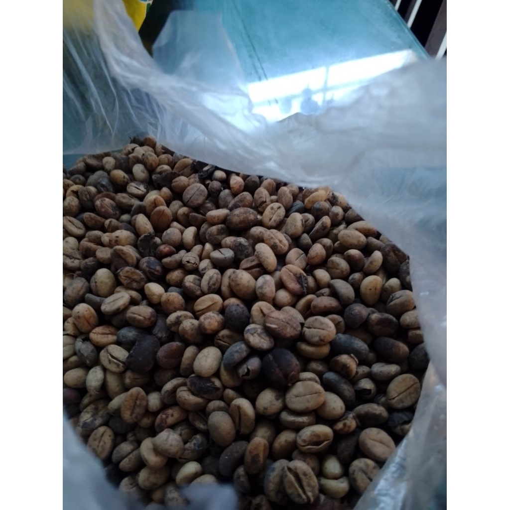 Kopi luwak liar Robusta