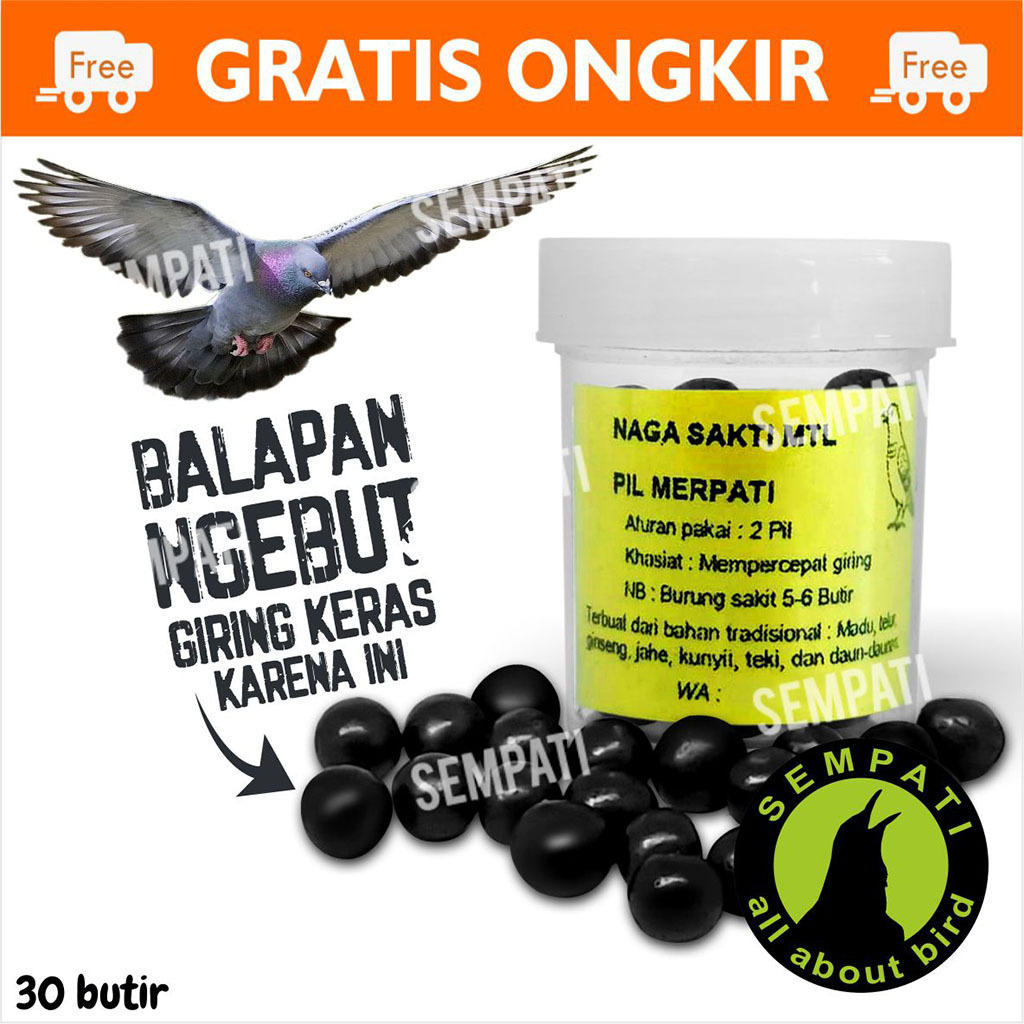 SEMPATI PIL HITAM GINSENG TEKI ISI 30 BUTIR KEKET MERPATI BALAP OBAT DOPING MERPATI BALAP CEPAT GIRI