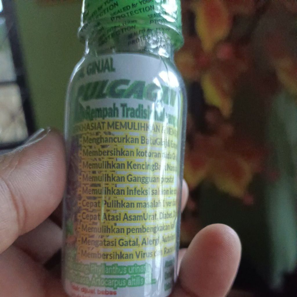 PATEN..|HancurkanBatuGinjal|KandungKemih|ISK|TurunkanKreatin|BatuEmpedu