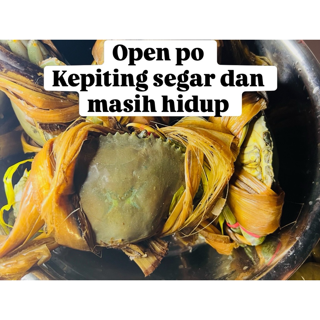 kepiting segar