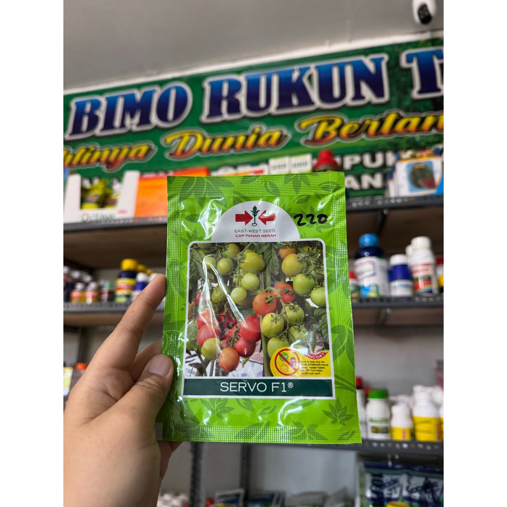 BENIH TOMAT SERVO