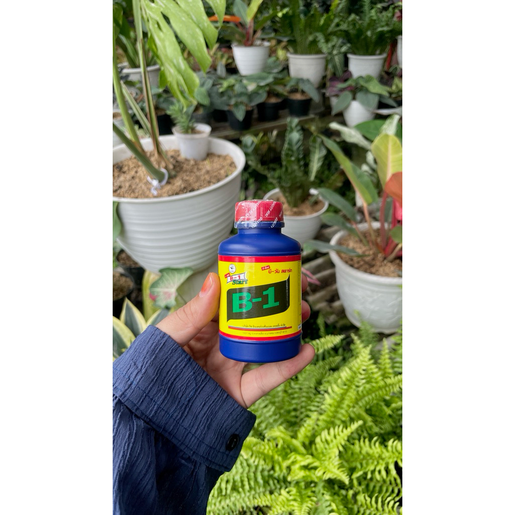 Vitamin b1 Thailand 100 ml ORIGINAL 100%