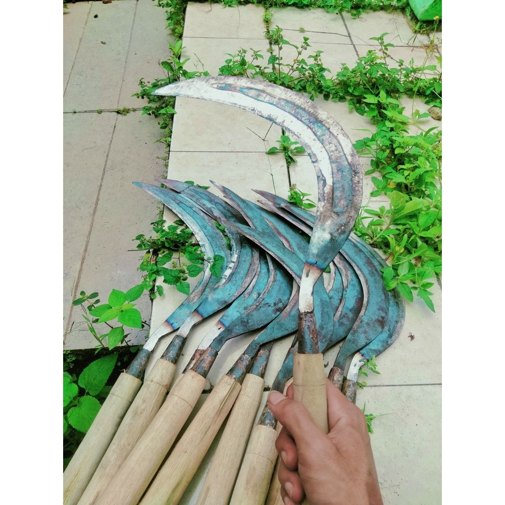 Arit rumput Madura terbuat dari baja lapisan super tajam