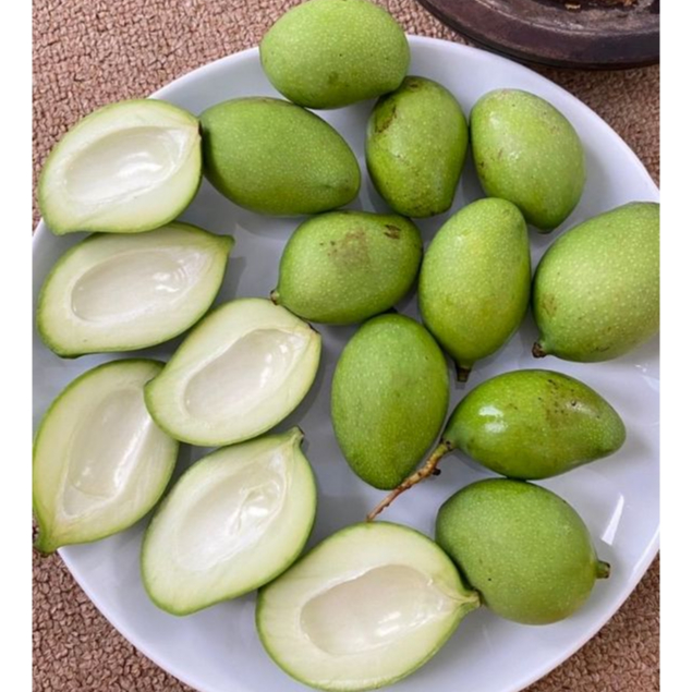MANGGA MUDA / Mangga Jamson / Mangga belah biji / mangga rujak / mangga mengkal / mangga asam / mang