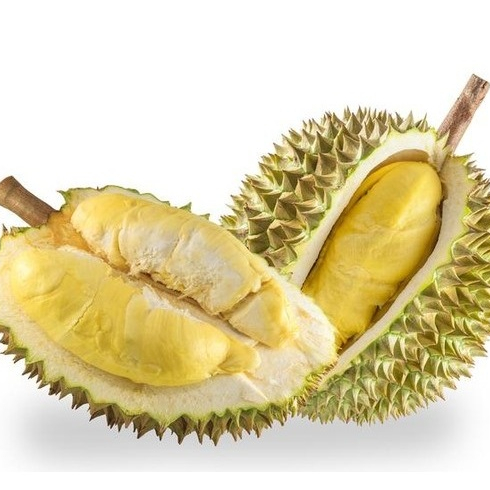 bibit durian bhineka bawor varietas unggul banyumas