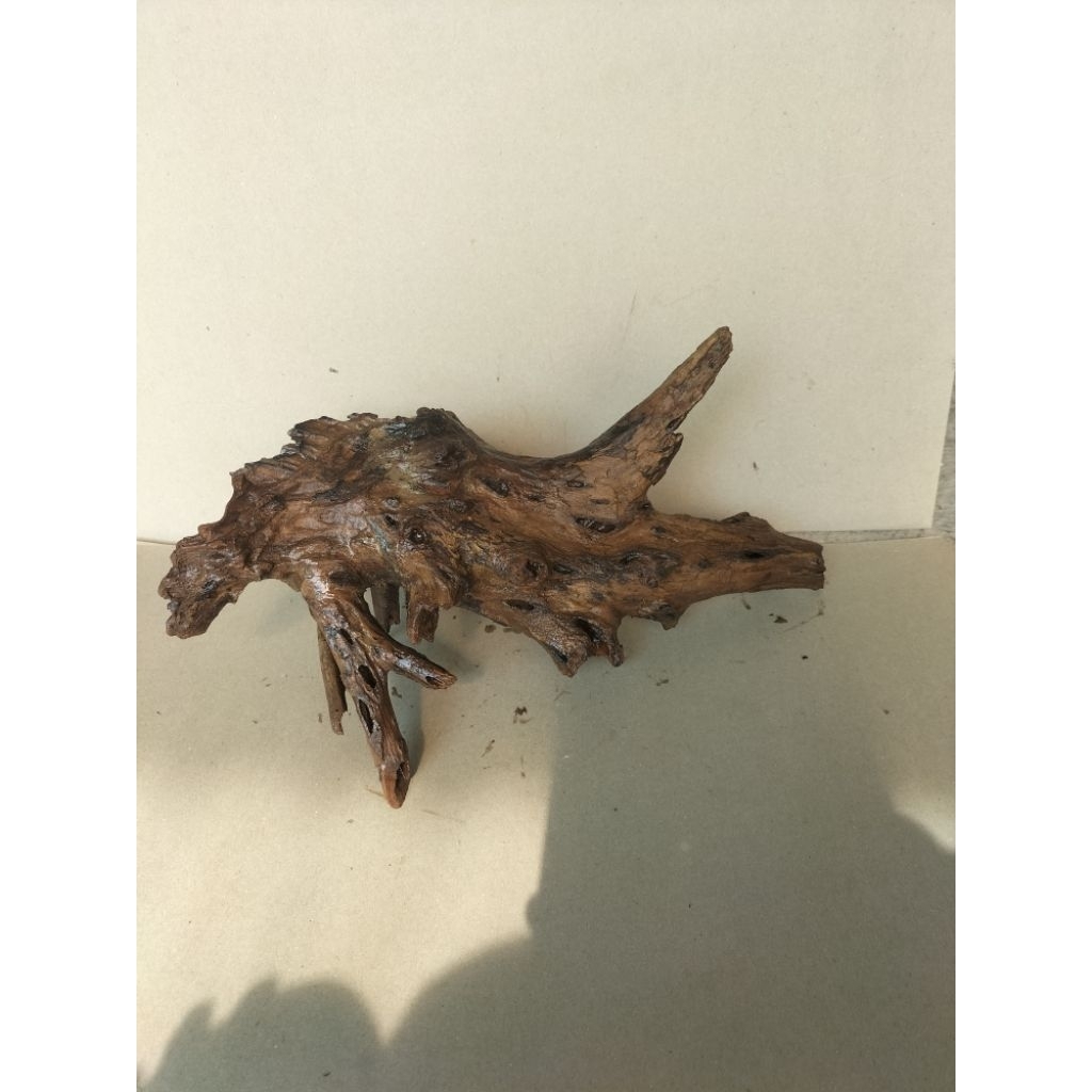 Kayu Aquascape akar dewa