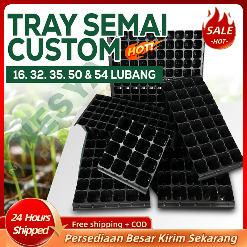 Tray Semai Trai Semai Custom Potray Wadah Semai Skala Hobi 128 200 105 lubang