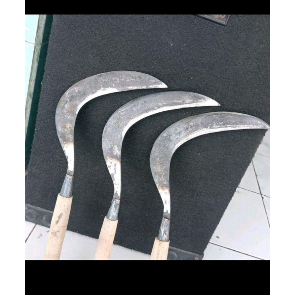 sabit rumput madura berkualitas