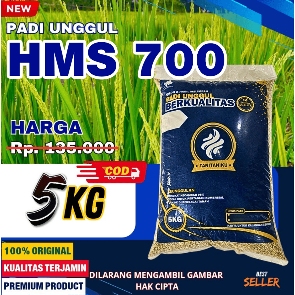 Benih Padi bibit padi  HMS 700 kualitas premium  Ukuran 5KG