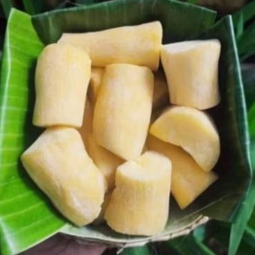 Tapai Madu Asli Pati