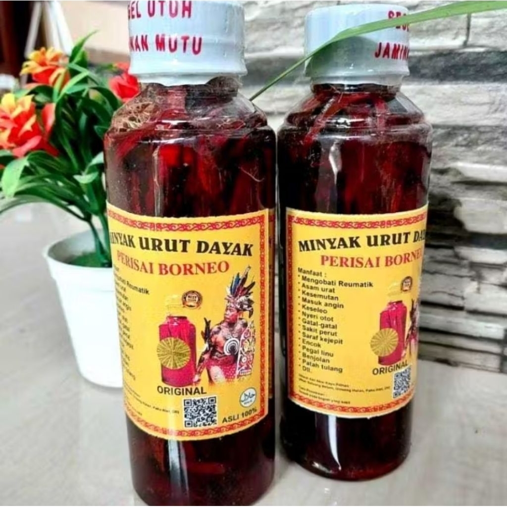 minyak urut Dayak  borneo